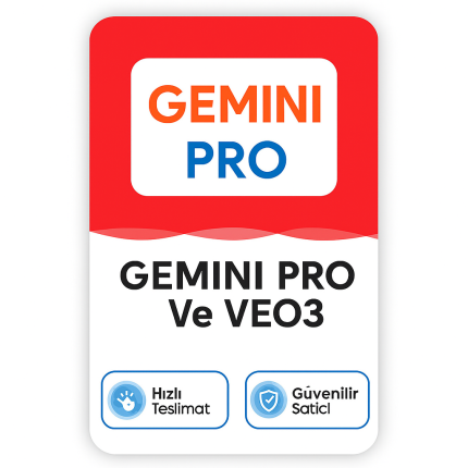 Google Gemini Ai Pro